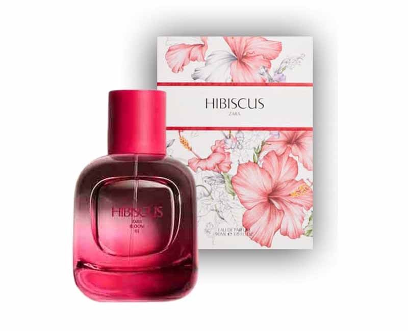 Hibiscus